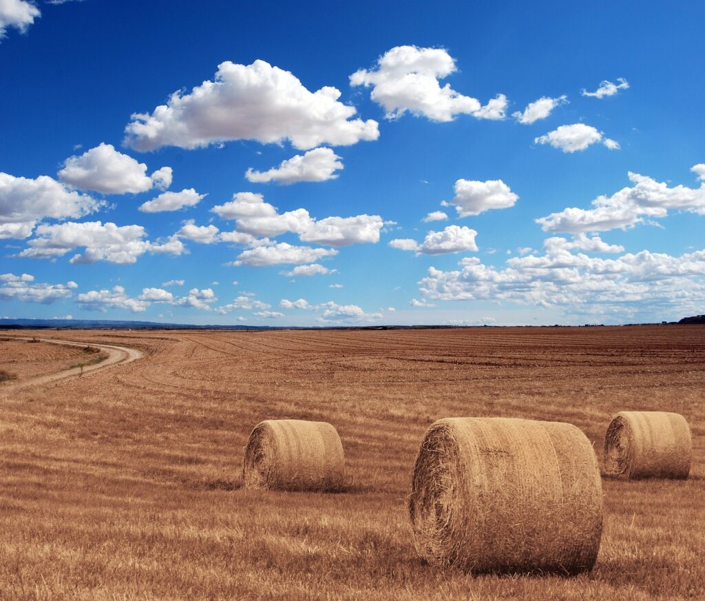 hay bales, round, nature, farm, sky, clouds, field, harvest, hay, cultivation, tillage, straw, agriculture, summer, landscape, rural, countryside