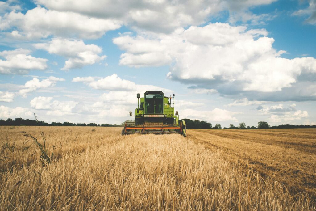 A green tractor harvesting wheat in a vast open field under a bright, cloudy sky.